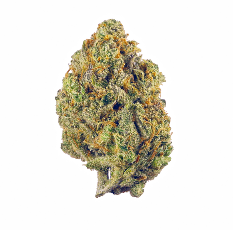 Legend Cherry Gelato